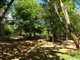 Cerro Gordo Beach - VEGA ALTA